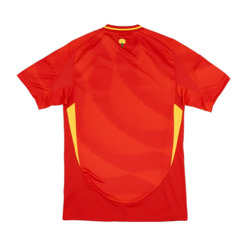 Spain Home Kit 2024