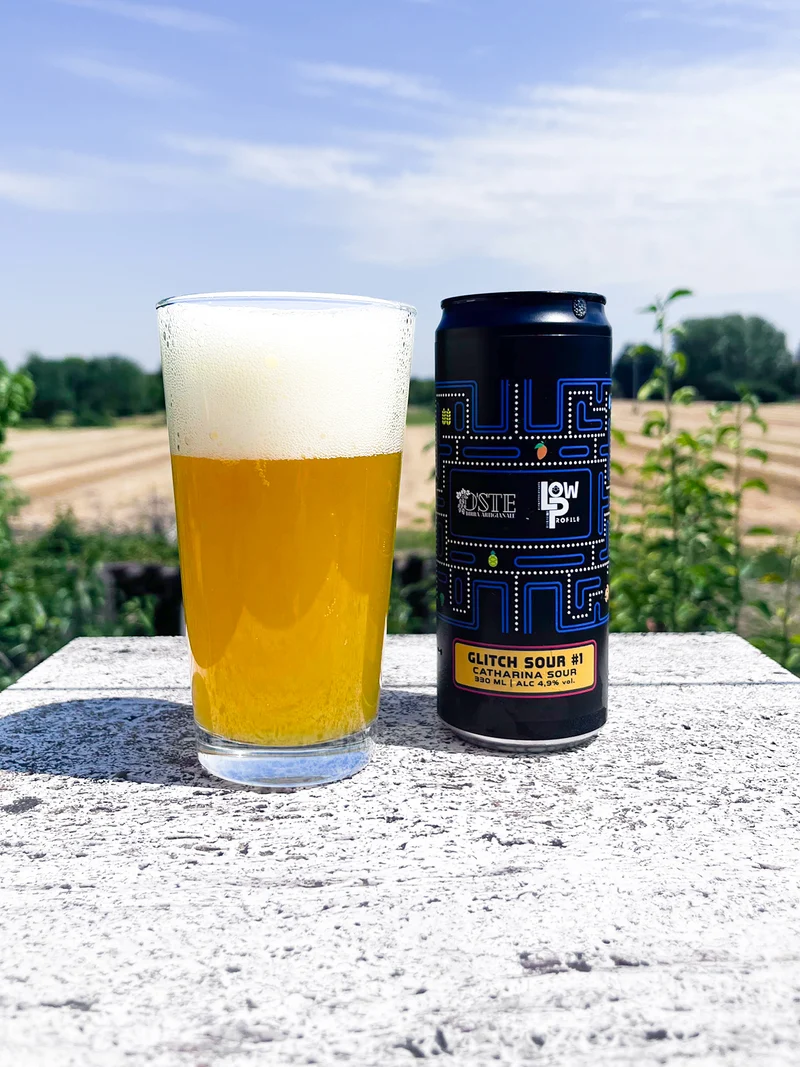 Catharina Glitch Sour birra artigianale acida | Box degustazione