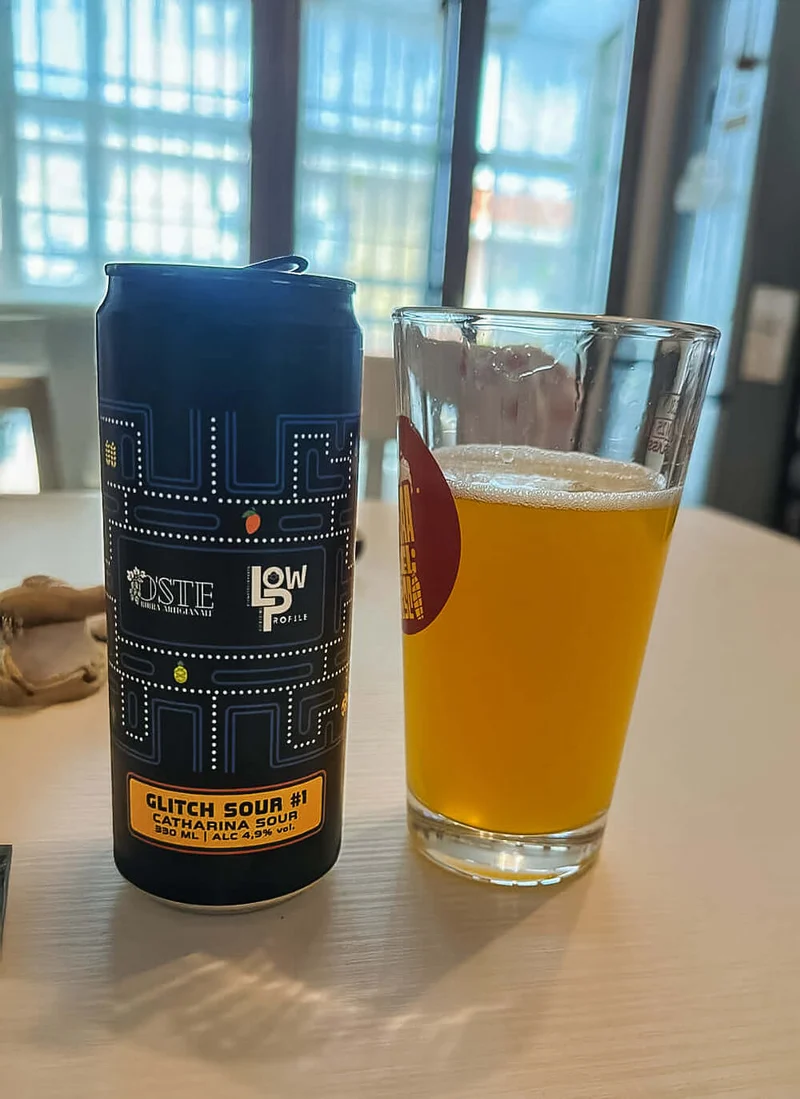 Box degustazione 24 birre artigianali miste