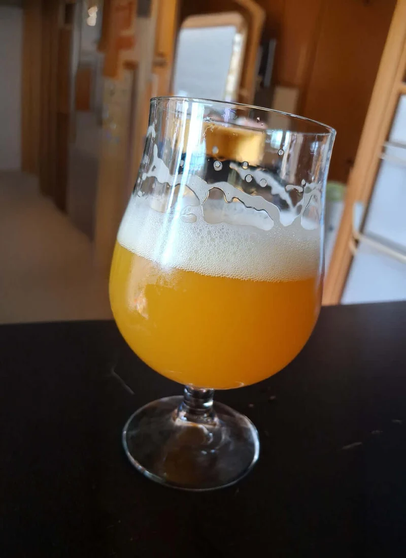 Catharina Glitch Sour birra artigianale acida | Box degustazione