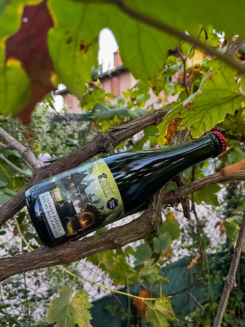Flemish Red Ale birra artigianale | Box degustazione