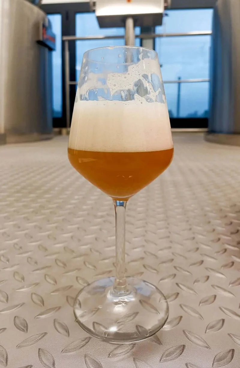 Verdant IPA birra artigianale ai frutti tropicali | Box degustazione