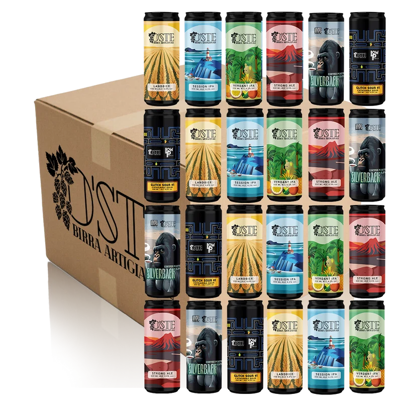 Box degustazione 24 birre artigianali miste