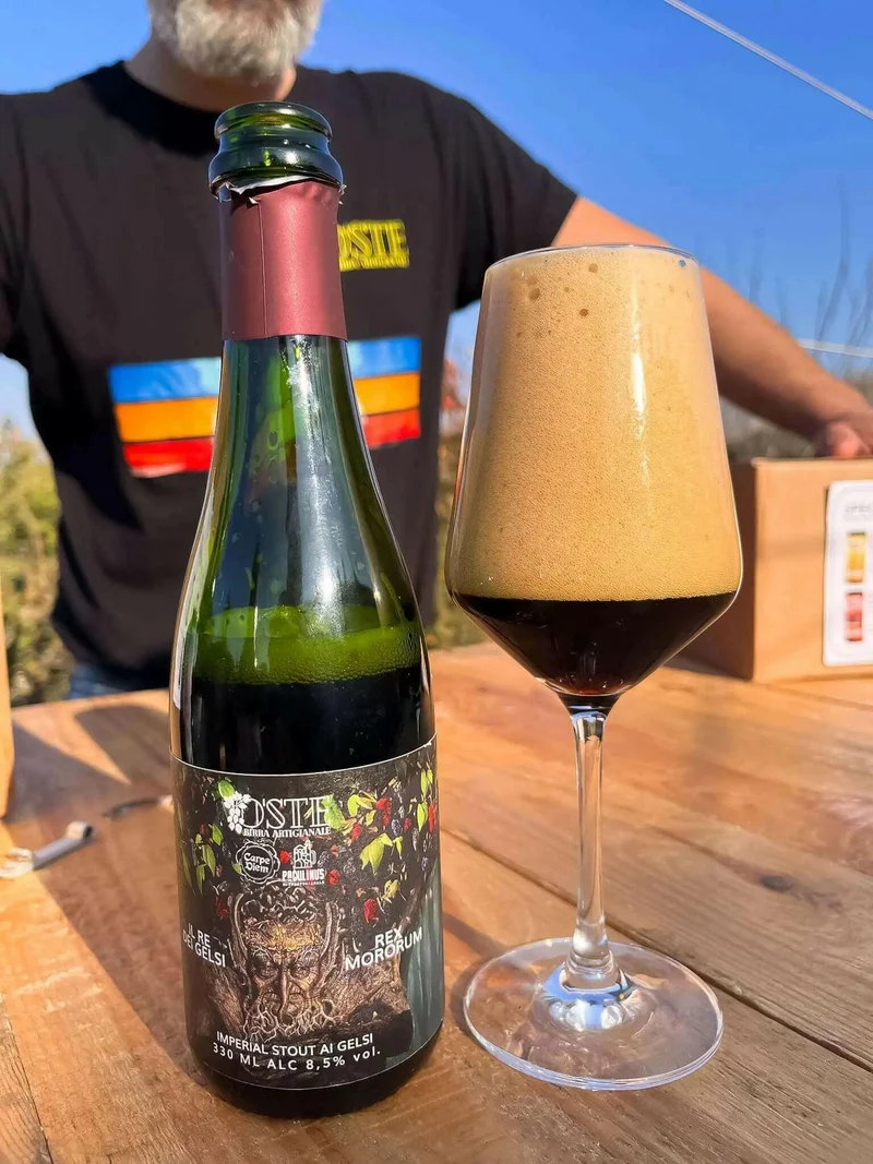 Imperial Stout birra artigianale ai gelsi neri | Box degustazione