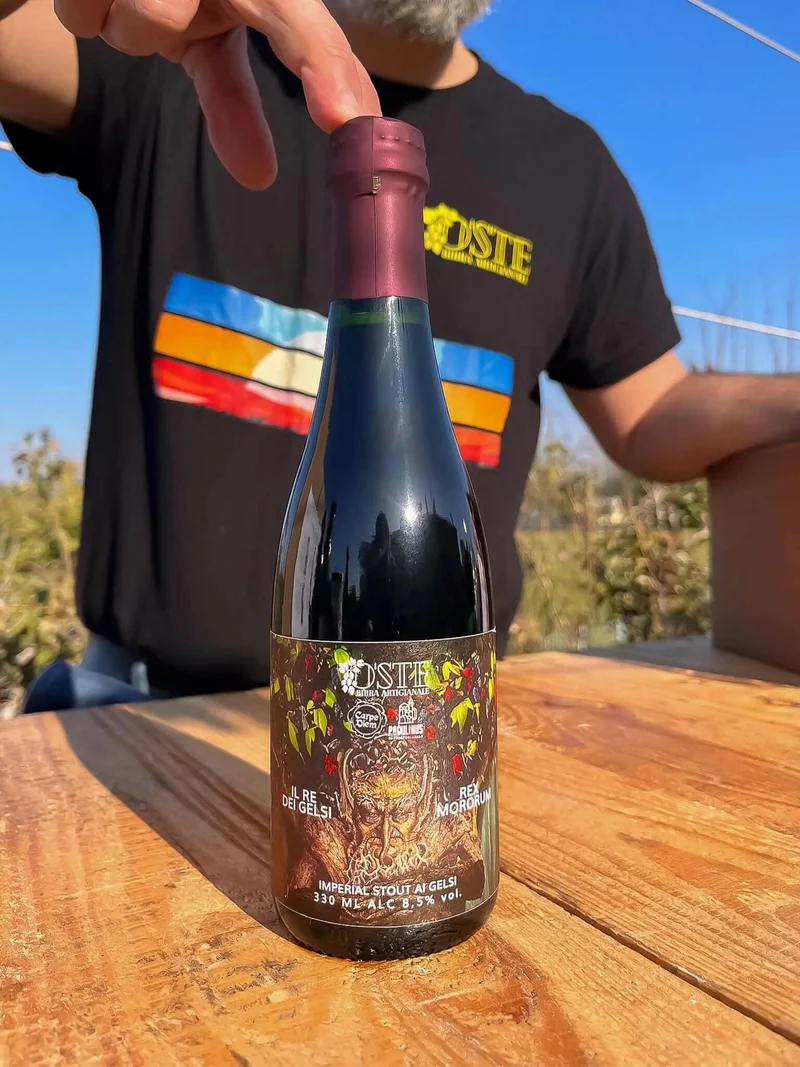 Imperial Stout birra artigianale ai gelsi neri | Box degustazione
