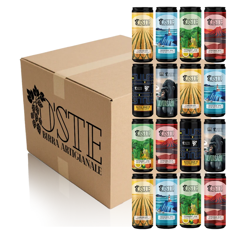 Box degustazione 16 birre artigianali miste
