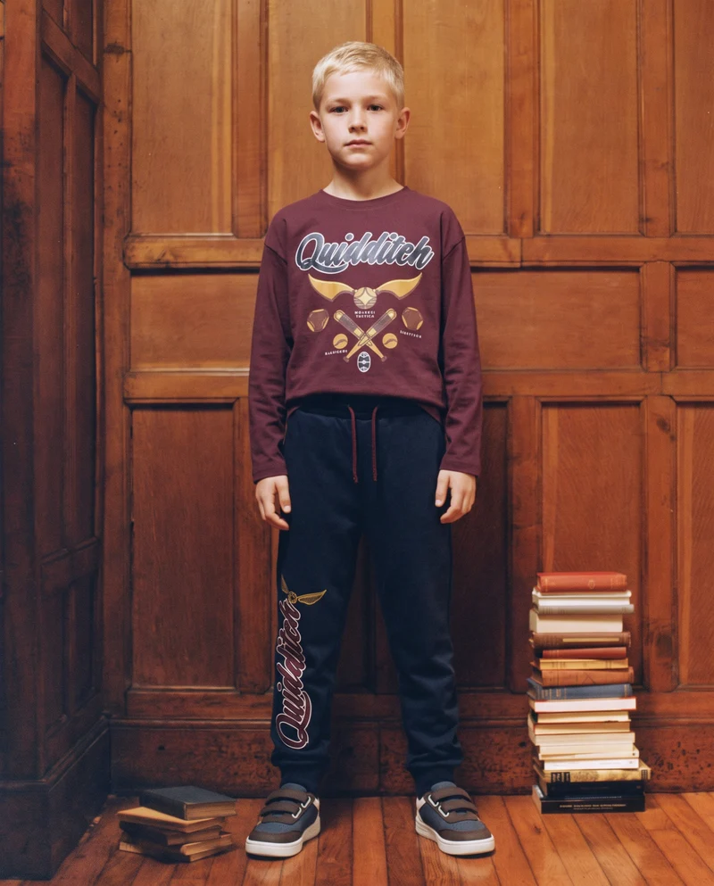 T-shirt maniche lunghe Harry Potter - Bordeaux