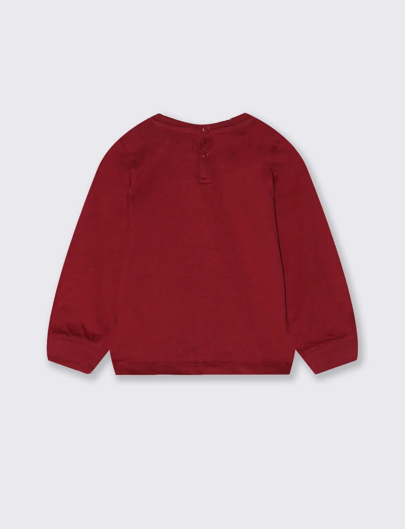 Tshirt manica lunga con dinosauro mylar - Bordeaux
