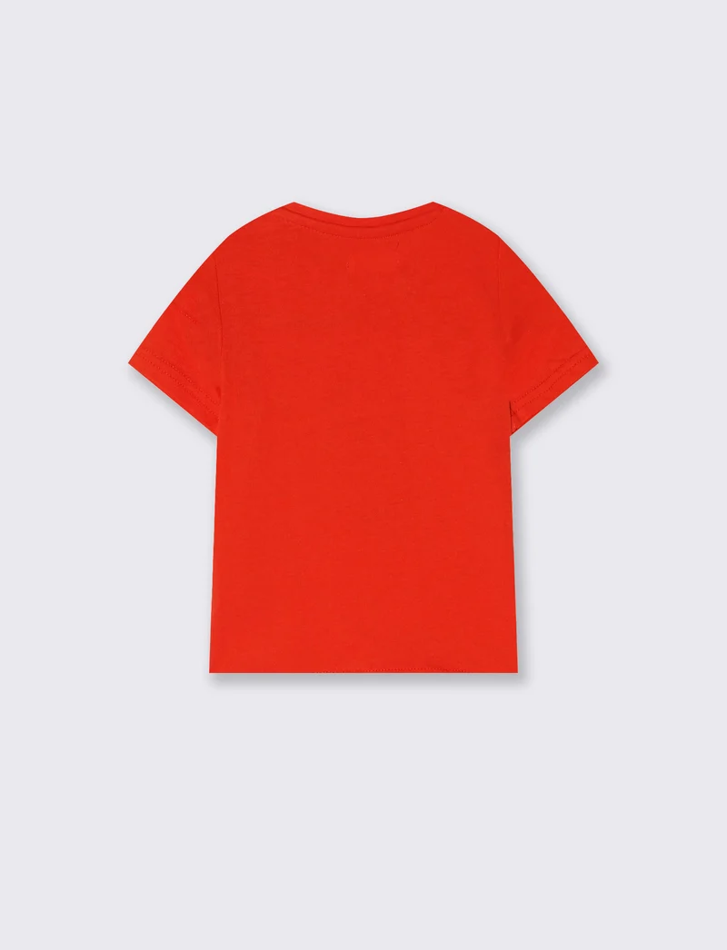 T shirt girocollo manica corta estiva - Aragosta