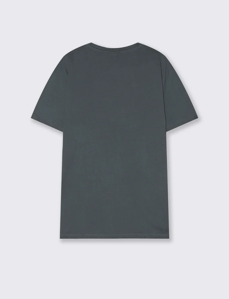 T-shirt girocollo in cotone regular fit - Avion