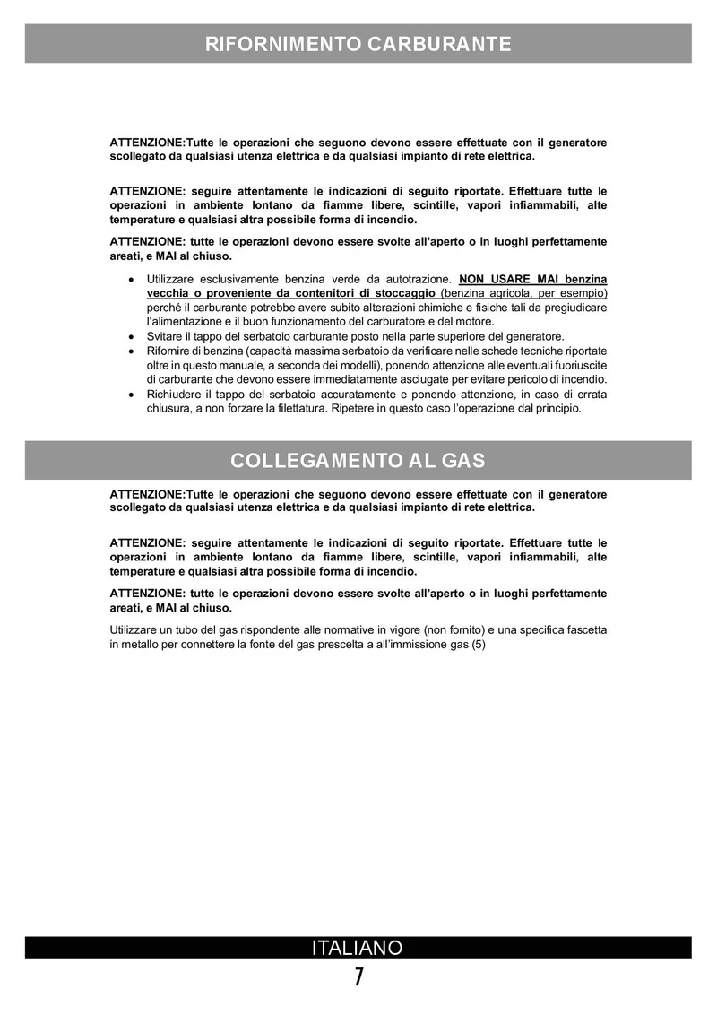 Vinco 60170 - Generatore di corrente - benzina, GPL - metano