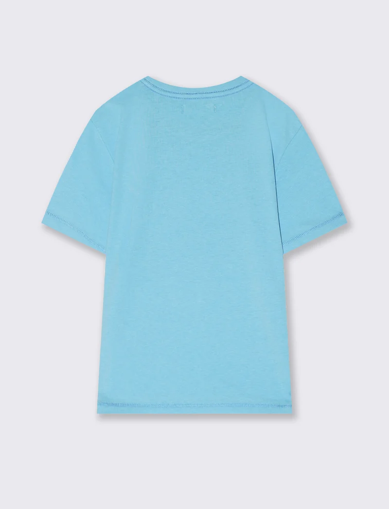 T-shirt mezza manica con stampa frontale - Azzurro