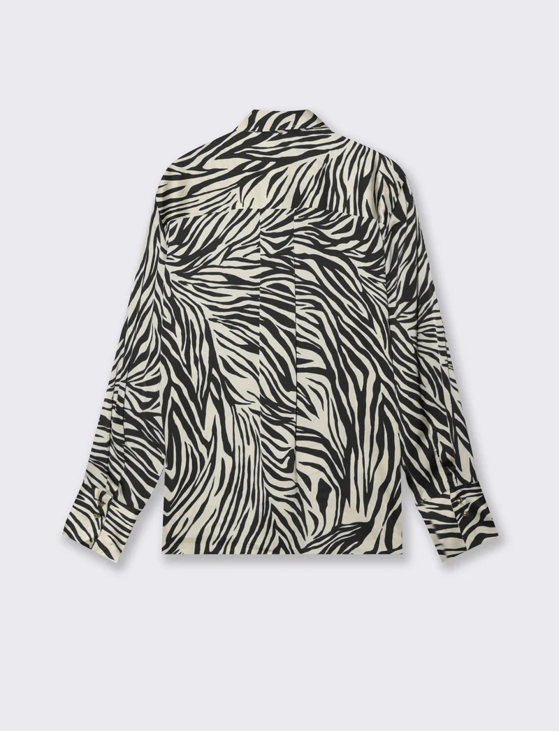 Camicia Manica Lunga Regular Fit - var 2