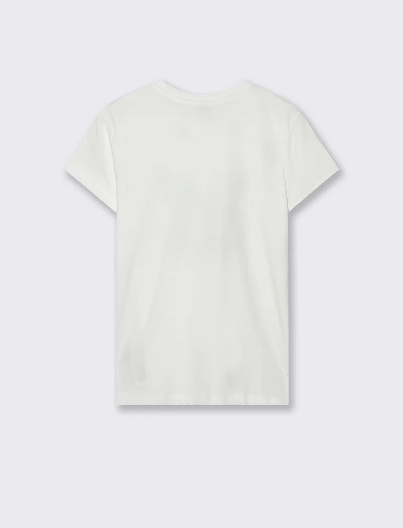 T-Shirt Manica Corta Girocollo - var 1