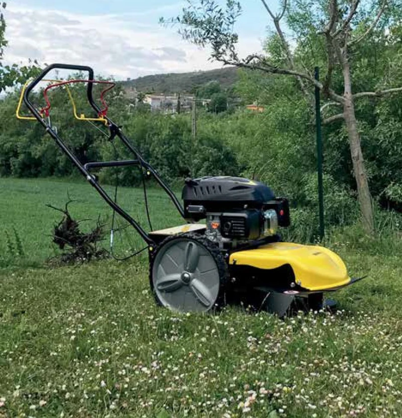Decespugliatore a ruote a Scoppio ROQUES ET LECOEUR 050300 RL 100 RL