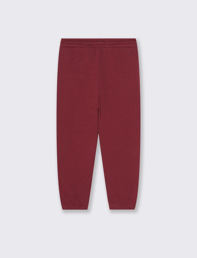 Jogger con ricamo college. - Bordeaux