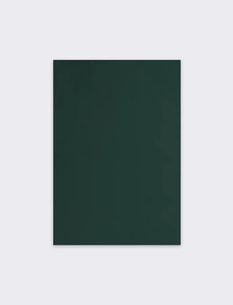 Sciarpa donna unito con frange - Verde petrolio