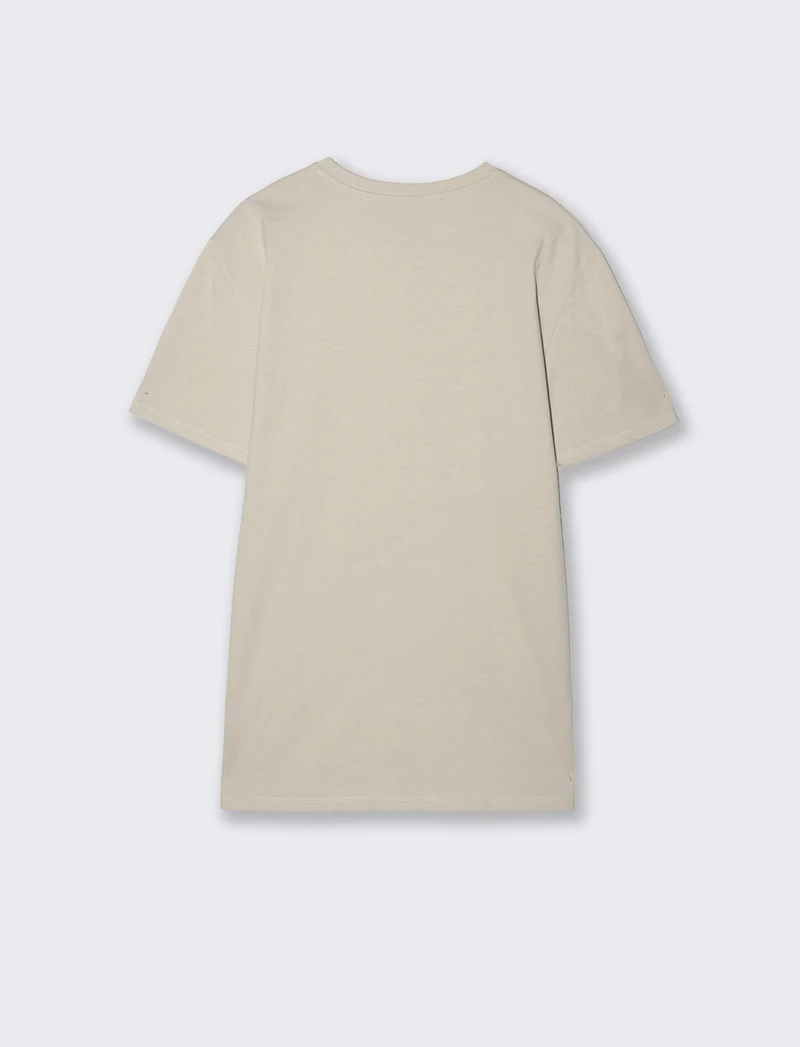 T-shirt girocollo in cotone regular fit - Grigio ghiaccio