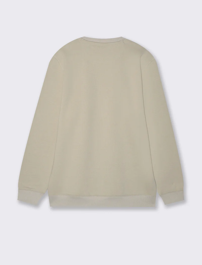 FELPA BASIC GIROCOLLO - Grigio ghiaccio