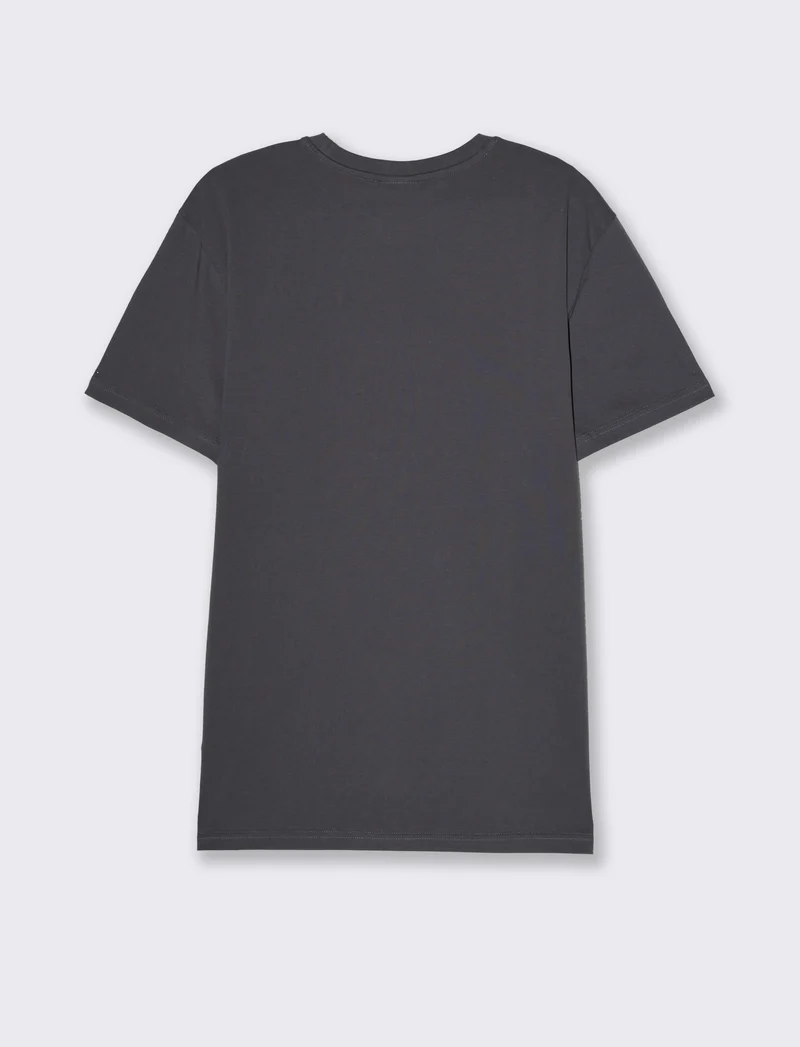 T-shirt regular fit con stampa da uomo - Avion